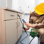 Cómo Pest Control Mexico Brinda Soluciones Efectivas para el Control de Plagas