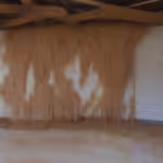 Fumigaciones en Ejido El Refugio, General Zaragoza, Nuevo León 67965