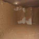 Fumigaciones en Ejido Dulces Nombres (Santa Teresa), General Zaragoza, Nuevo León 67960