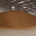 Fumigaciones en Rancho Las Mulas, Aramberri, Nuevo León 67958
